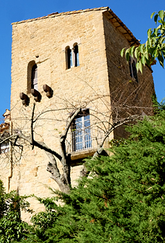 Sant Vicenç de Camós - La Sala